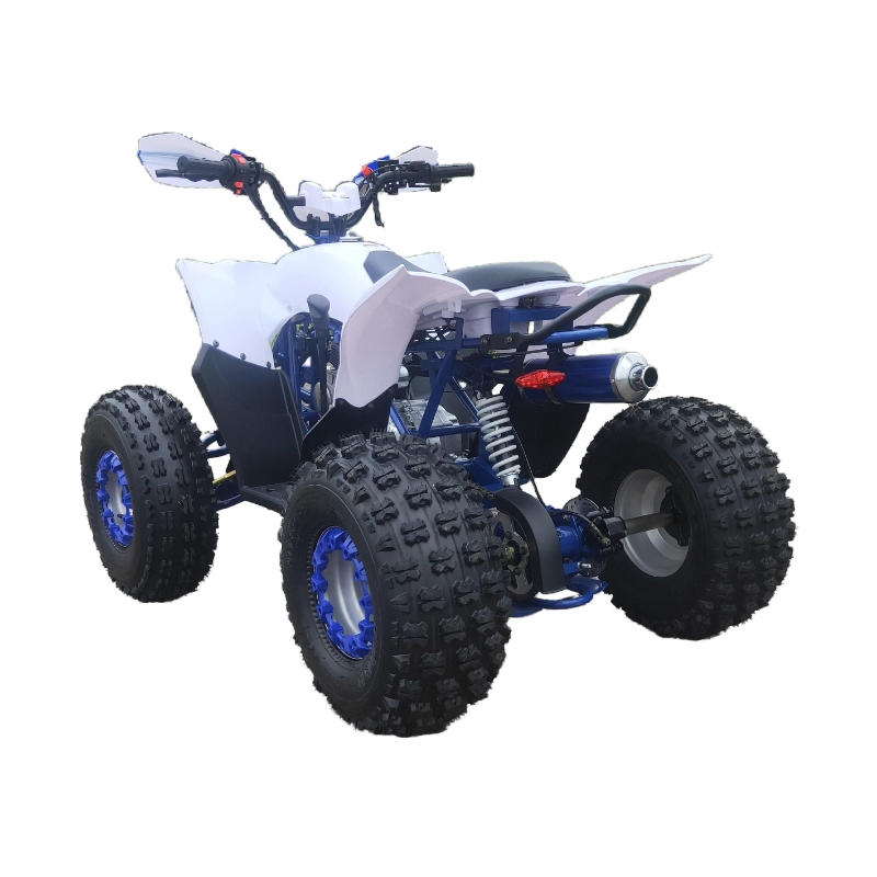 High quality 125cc 4x2 ATV for adults for kids four wheeler atv for sale FL-125ZY